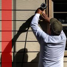 Best Vinyl Siding Installation  in Fulda, MN